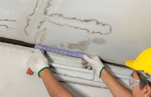 Reliable Basement Water Removal contractor in Sealy, TX by Water Damage Irwin